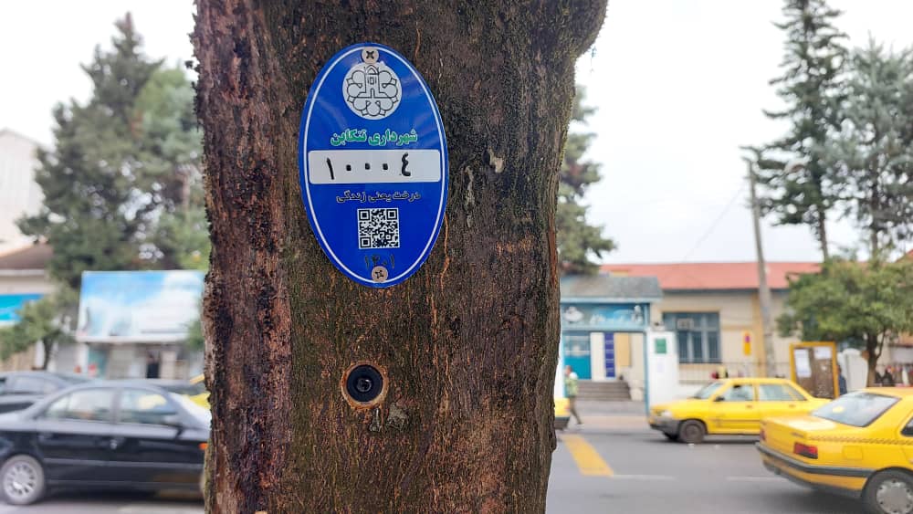 ‍ صیانت از درختان فضای سبز شهری با اجرای طرح پلاک گذاری